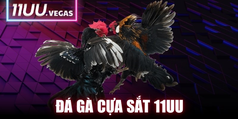 Đá Gà Cựa Sắt 11UU